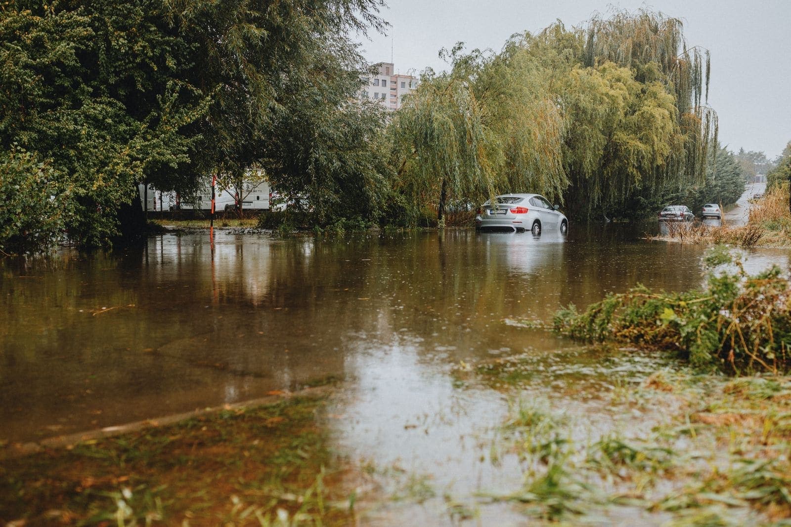 Brown floodwater covering a yard and road after heavy rain
